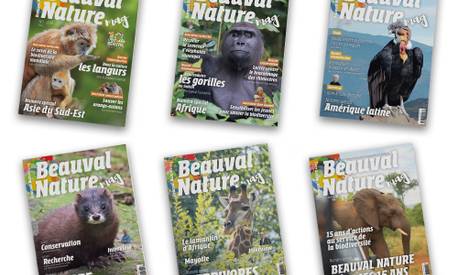 L'association - Beauval Nature magazine - Beauval Nature - ZooParc de Beauval